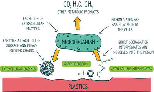 landfill-biodegradable process