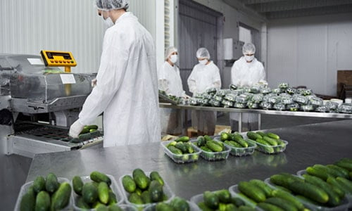 manual-wrap-vegetable